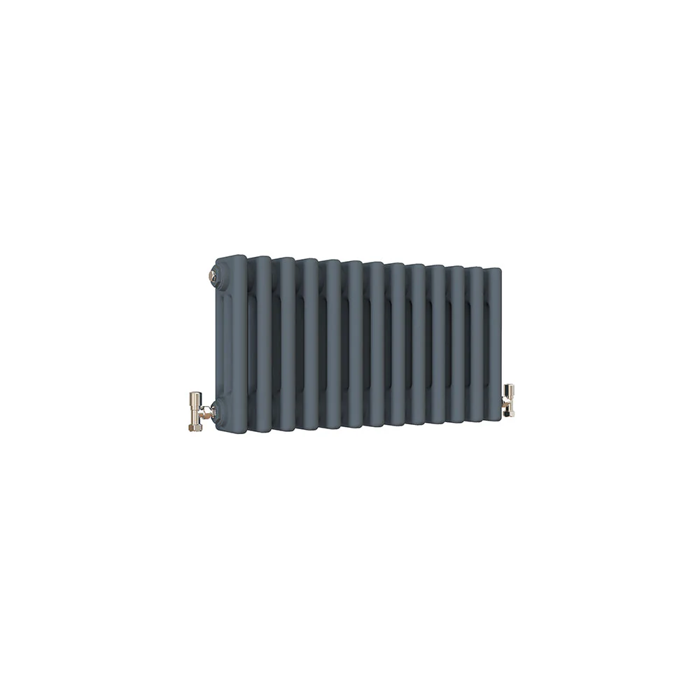 SKY bathroom Cast Iron Style Horizontal Traditional 2&3 Columns Radiator - Image 57